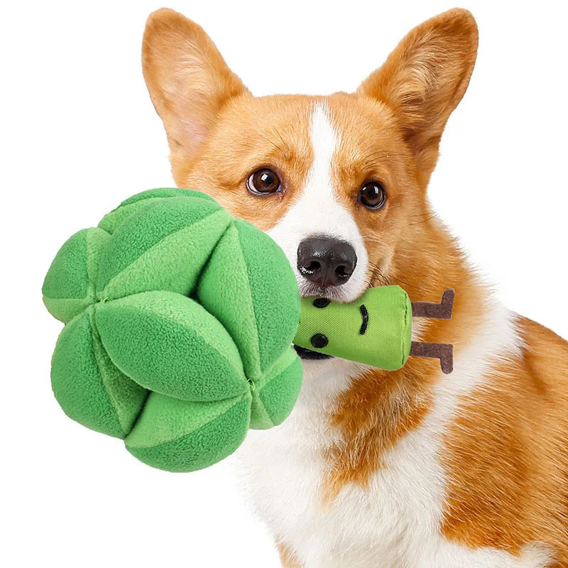 Dog Puzzle Feeder Toy - Snuffelbroccoli Hondenpuzzelspeelgoed Verhoogt IQ Langzaam Uitgeefende