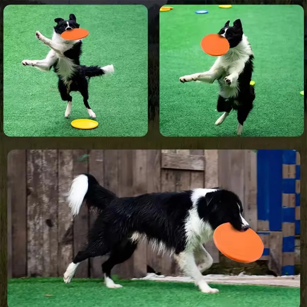 Hondenvliegende schijf TPR hui - Flying Disc Dog Training Toy recensie en prijs