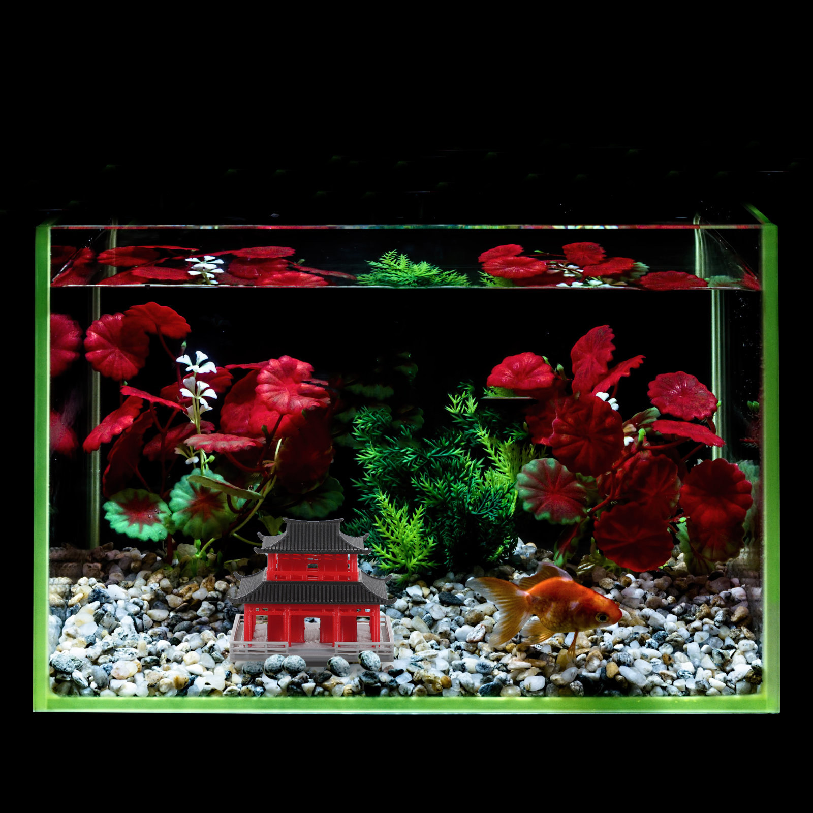 Chinees antiek paviljoen, zwar - Aquarium recensie en prijs