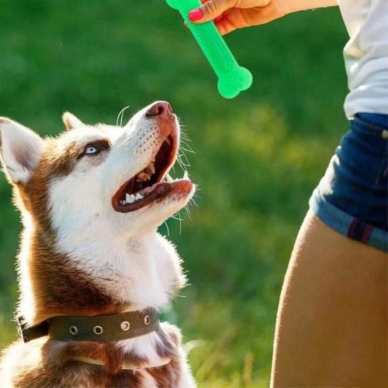Supersterk hondenbot kauwspeel - Teeth Cleaning Dog Chew Bone recensie en prijs