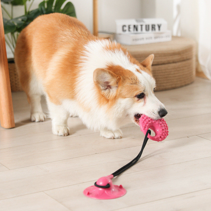Hondenspeelgoed Siliconen zuig - Suction Cup Dog Tug Toy recensie en prijs