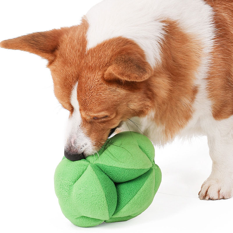 Snuffelbroccoli Hondenpuzzelsp - Dog Puzzle Feeder Toy recensie en prijs