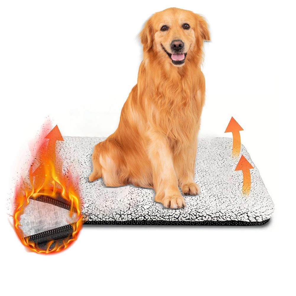 Warme hondenmat Geen elektrici - Pet Beds recensie en prijs