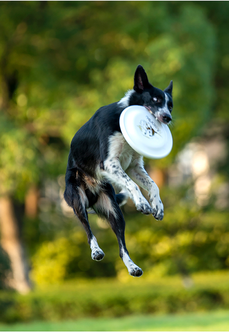 Ouzey Bijtbestendig Huisdier T - Flying Disc Dog Training Toy recensie en prijs