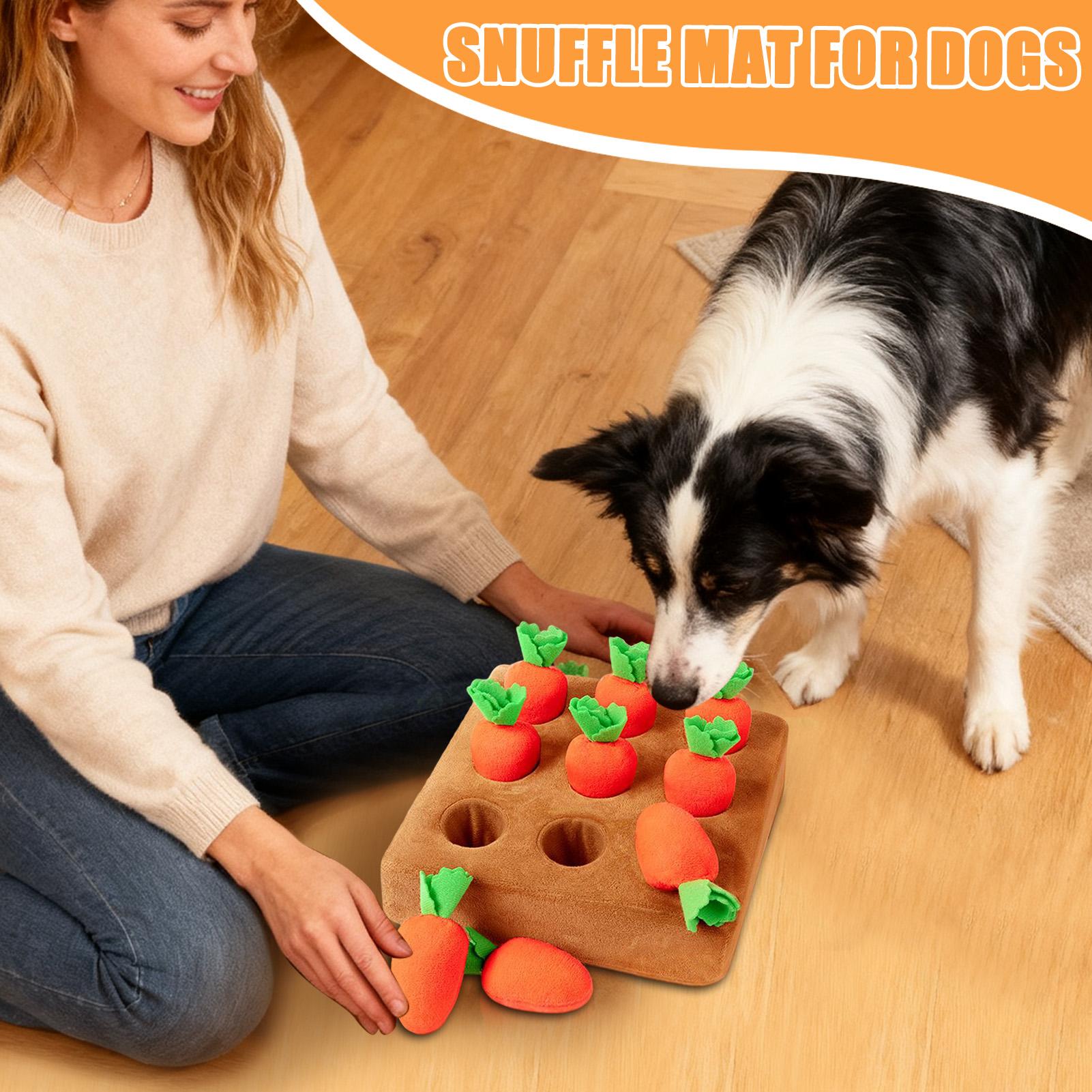 Interactief wortelspeelgoed vo - Snuffle Mat For Dogs recensie en prijs