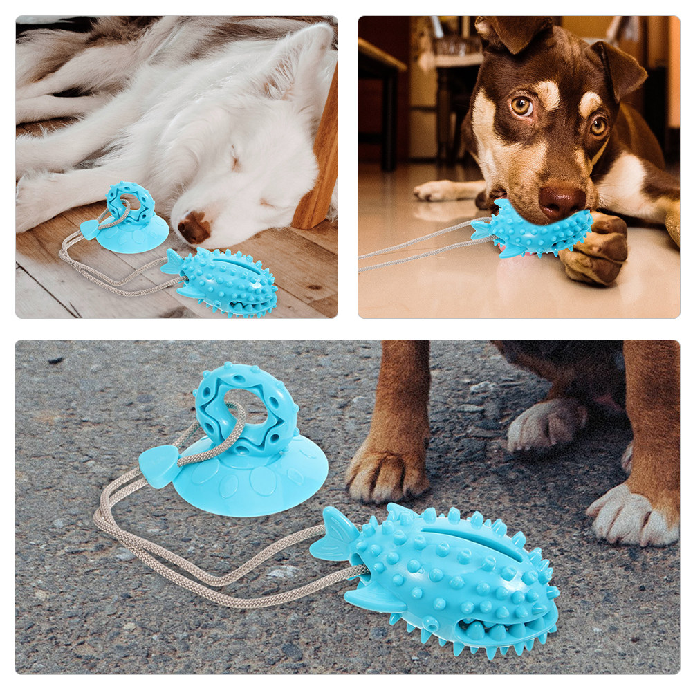 2 stuks zuignap hond interacti - Suction Cup Dog Tug Toy recensie en prijs